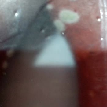 Namet Dana Sucuk Ve Migros Un İşgüzarlığı