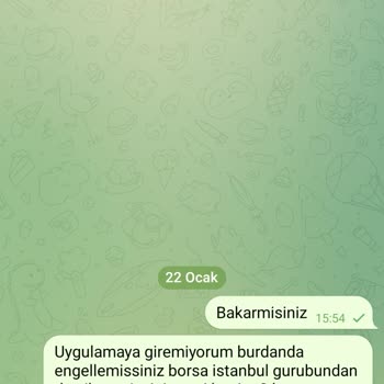 Telegram Yatırım Finansman Uygulamasında Erişim Ve Ödeme Sorunları