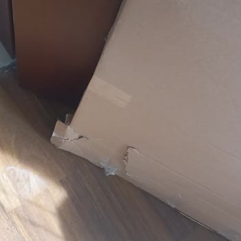 Anısepeti Anı Sepeti Şikayet