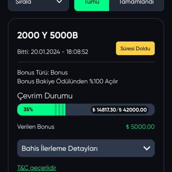 Baywin 29 Bin Tl Mi Sildi