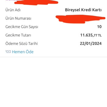 Yapı Kredi Bankası Borç Gecikme Yok