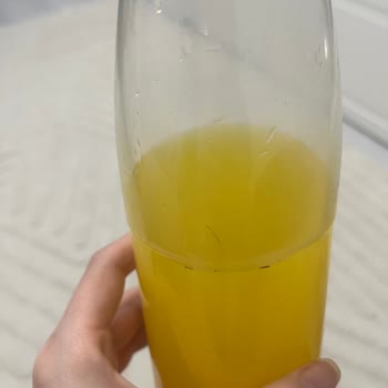 File Market Filedeki Portakal Suyundan Çıkanlar