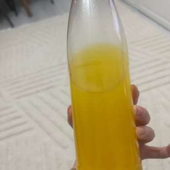 File Market Filedeki Portakal Suyundan Çıkanlar