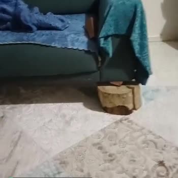 Bellona Pişmanlık Ve Kalitesizlik