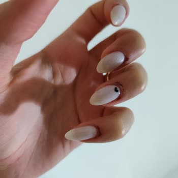 Nail Box Turkey Jel Tırnak Faciası