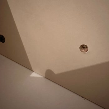 Doğtaş Servis Hüsranı: Raylar Ve İletişim Sorunu