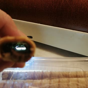 Çizmeci Gıda Kremasız Wafer Ürünler Ve Marka İmajı