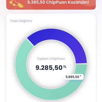Chippin Puan Sorunu: Kullanım Hatası!