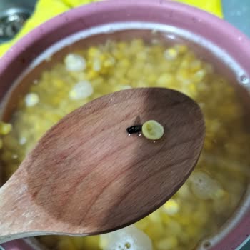 BİM Donmuş Mısır'dan Sinek Çıktı