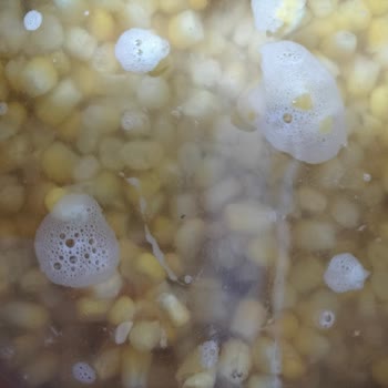 BİM Donmuş Mısır'dan Sinek Çıktı