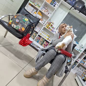 A Vet Avrupa Veteriner Kliniği Kağıthane Avrupa Vet Ve Zeytinburnu Vet. Lik Minik Kızımı Öldürdüler!