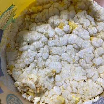 A101 Bozuk Ürün Burch Mısır Patlağı