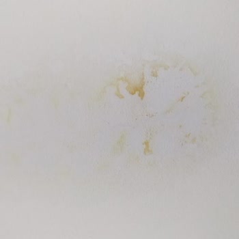 Fırat Boru Binada Borusu Patlamayan Daire Kalmadı