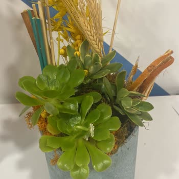 Taze Çiçek.com Firması Küçük Hesaplar Peşinde.