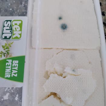 Teksüt Yumuşak Kıvamlı Peynir Paketi Açmadan Küflendi