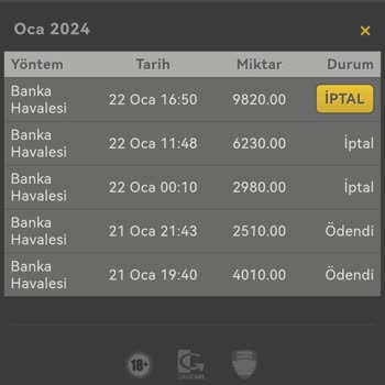 Tempobet Para Yatırmada Bekletiyor