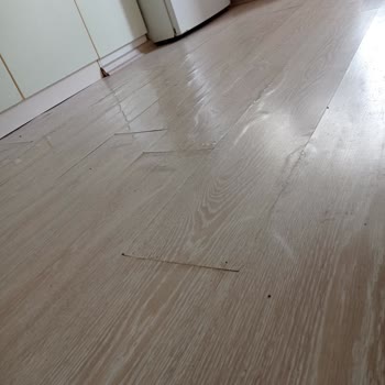 Profilo Mutfak Parkelerim Mahvoldu