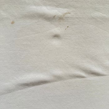 Tefal Pure Max FV9850 Ütü Paslı Su Sorunu