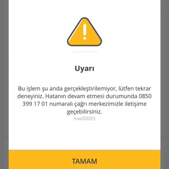 Pegasus Hava Yolları Bol Puanlı Yurt İçin Bilet Kampanyası Sorunu