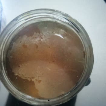 5 Aylık Bosch Buzdolabı Her Şeyi Küflendiriyor