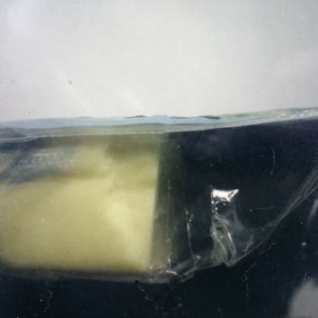 5 Aylık Bosch Buzdolabı Her Şeyi Küflendiriyor