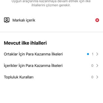 Instagram Marka İçeriği Uygun Değil Şu An Para Kazanamasın