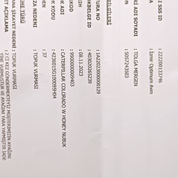 Ayakkabı Dünyası Cat Marka Bot