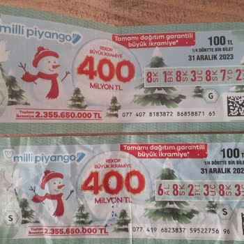 Milli Piyango Parasını Alamadım Bilet