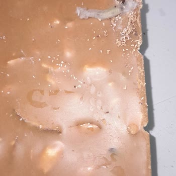 Eti'nin Kurtlu Çikolatası