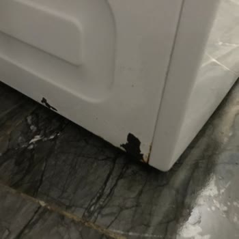 Arçelik Çamaşır Makinesi Paslanma Boya Atması Gürültü Şikayeti