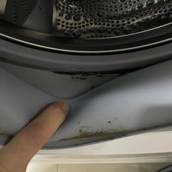 Bosch Marka Çamaşır Makinesi Küflenme Sorunu