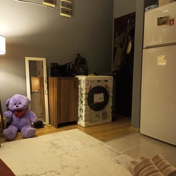 Altus Kurutma Makinesine Kurulum Yapmıyor