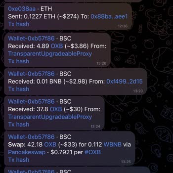 Metamask Cüzdanlarımı İznim Olmadan Boşalttı