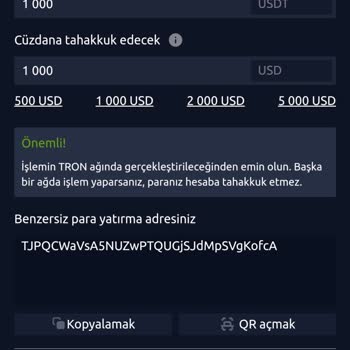 Abnllc.org Şifremi Değiştiremiyordum, Doğrulama Kodu Hata Veriyordu