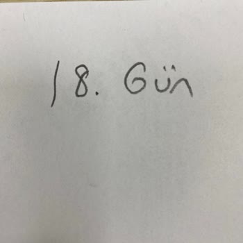 PTT Kargo 18 Gün Oldu