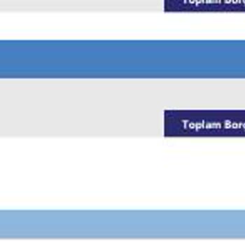 Birikim Varlık Yönetim Varlık Yönetim Şirketi Hakkında Şikayet