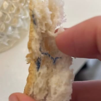 BİM'de Satılan Böcekli Ekmek