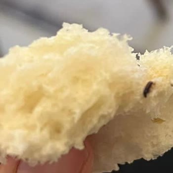 BİM'de Satılan Böcekli Ekmek