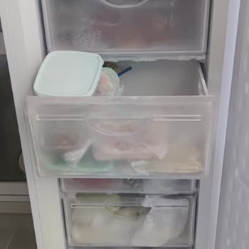 Uğur Derin Dondurucu Karlanma Problemi