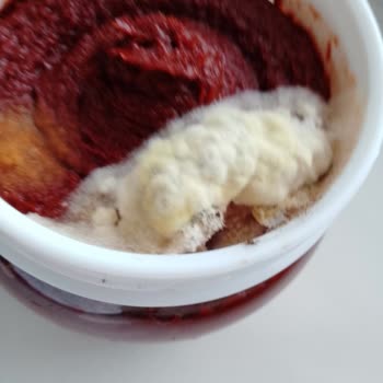 Öncü Salça Öncü Acı Biber Salçası Küf Sorunu