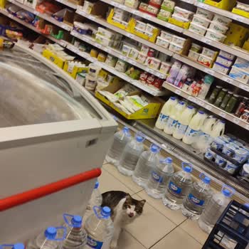 Şok Marketler Hijyensizliği Ve Çalışan İlgisizliği