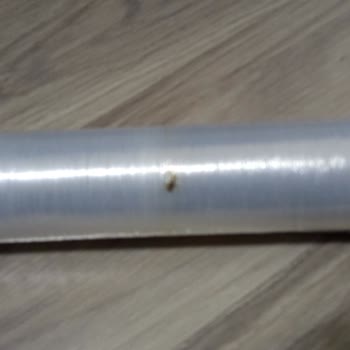 BİM Protex Streç Filmden Böcek Çıktı