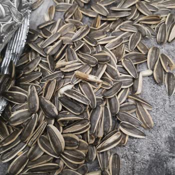 Boş Kabuklara Dolu Çerezya Paketi