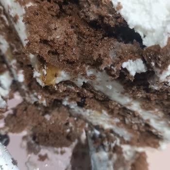 A101'den Aldığım UNO Pastaban Küflü Çıktı!