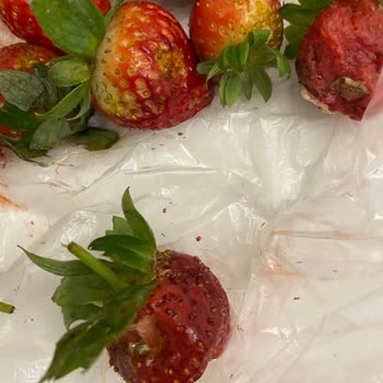 Migros Paranla Rezil Olduğun Bir Market