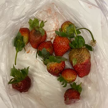 Migros Paranla Rezil Olduğun Bir Market