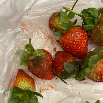 Migros Paranla Rezil Olduğun Bir Market