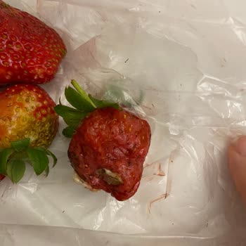 Migros Paranla Rezil Olduğun Bir Market
