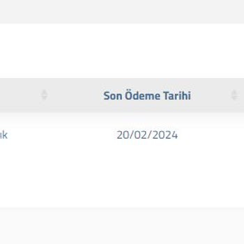 Nacsshost Satın Alınan VDS Hizmeti Gecikmesi Ve Destek Eksikliği
