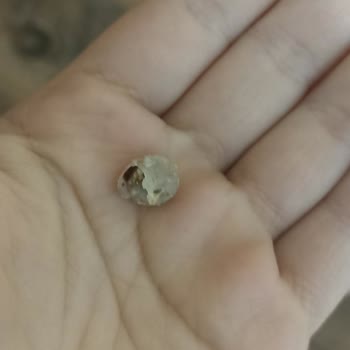 A101 Çerezya Tuzlu Çekirdek 400 Gr